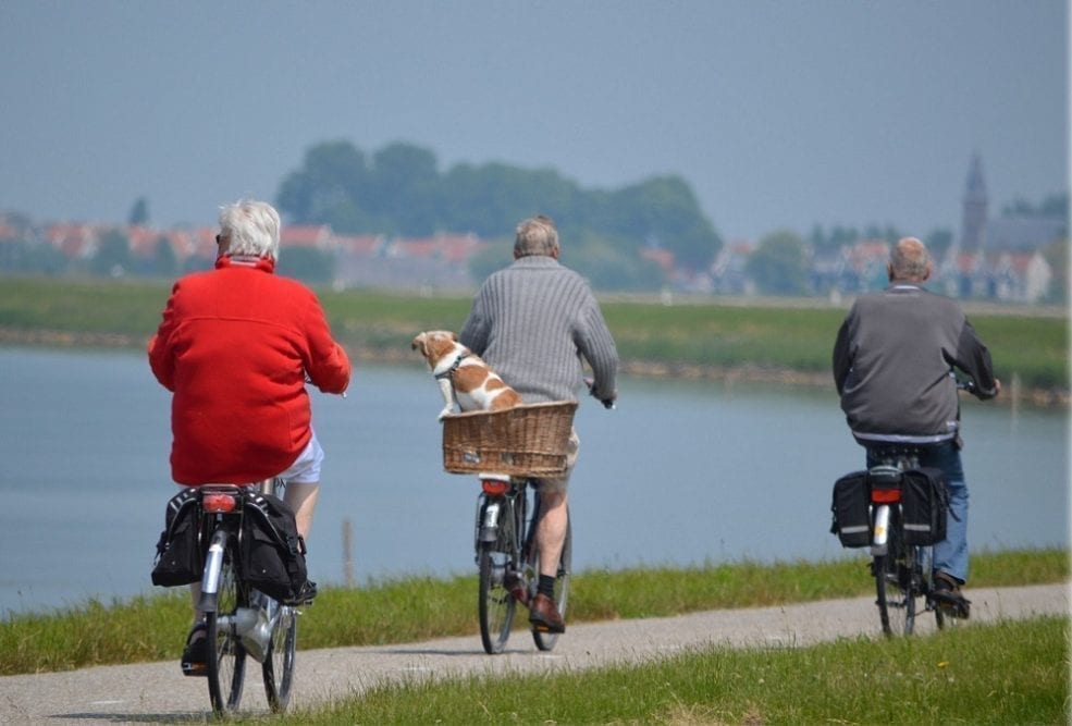 Cycling and Dementia